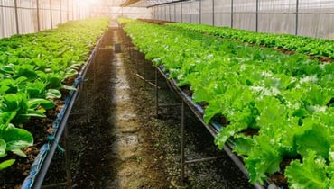 Major Food co-op gains visibility from asset procurement to disposal